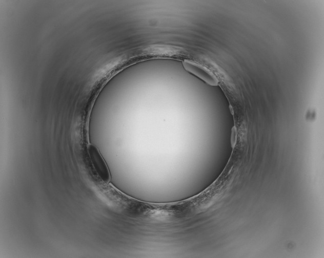 X0000090600352200708141335