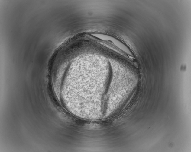 X0000090600354200708141335