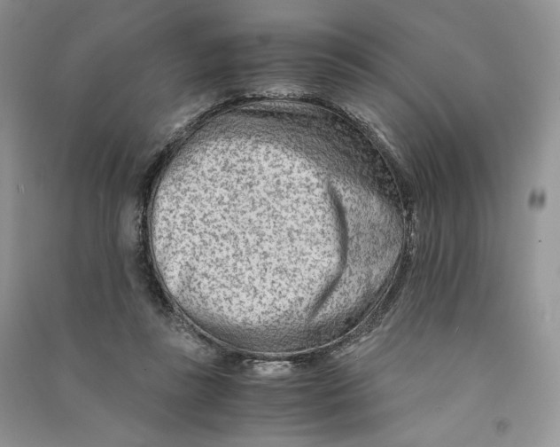 X0000090600355200708141335