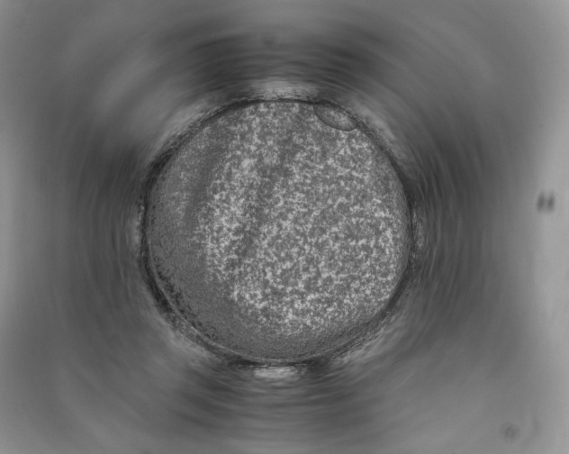 X0000090600357200708141336