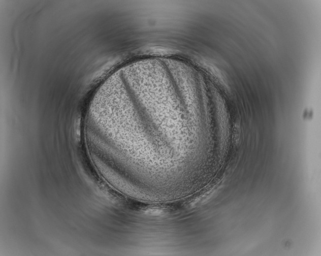 X0000090600358200708141336