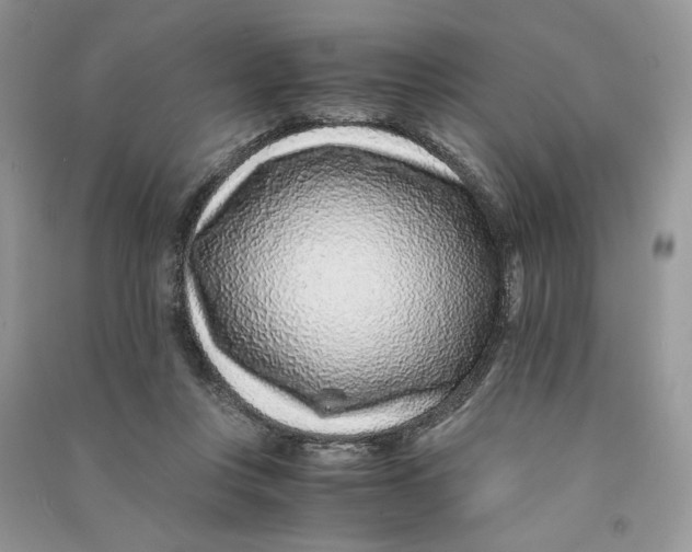 X0000090600359200708141336