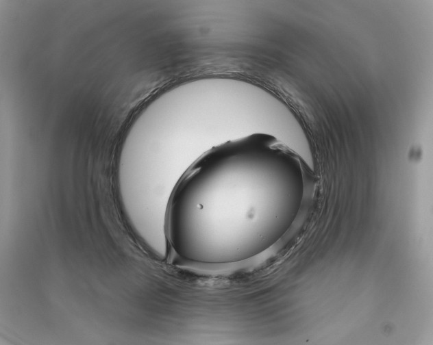 X0000090600362200708141336