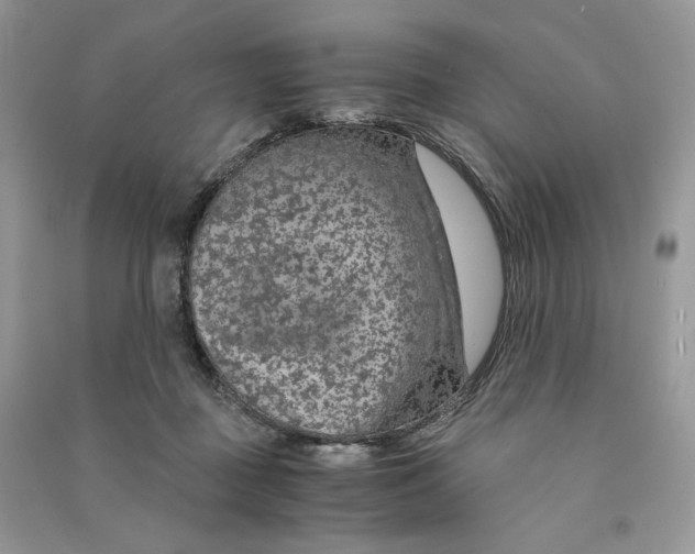 X0000090600363200708141336