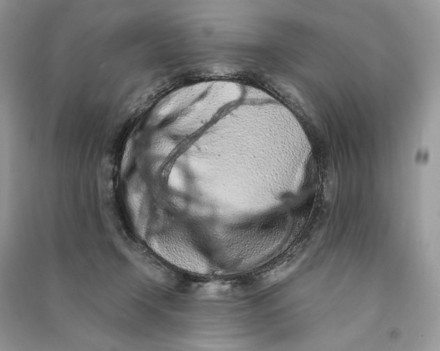 X0000090600366200708141336