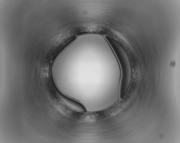 X0000090600368200708141336