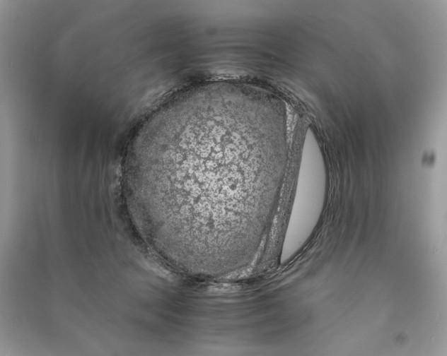 X0000090600369200708141336