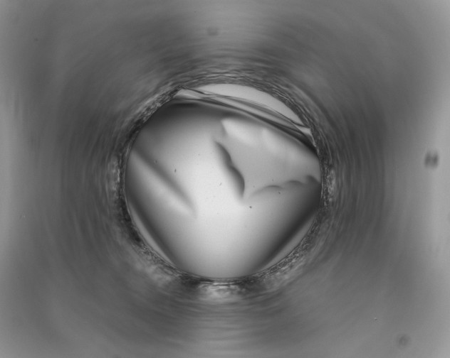 X0000090600372200708141336