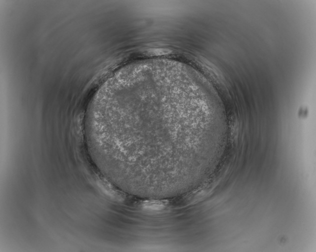 X0000090600373200708141336