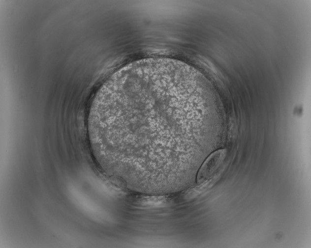 X0000090600377200708141336