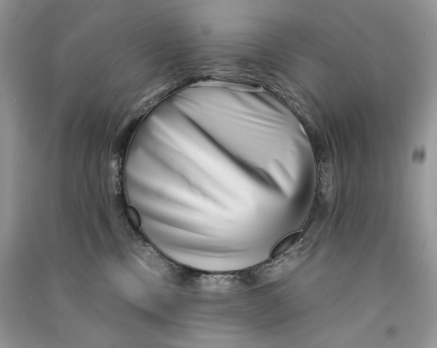 X0000090600378200708141336