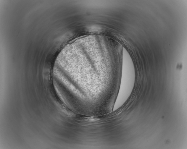 X0000090600379200708141336