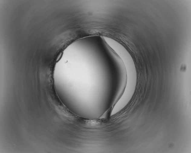 X0000090600380200708141336