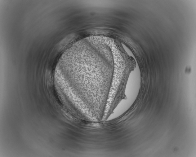 X0000090600381200708141336