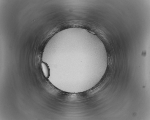 X0000090600382200708141336