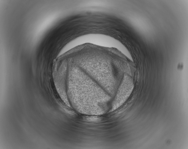 X0000090600383200708141336