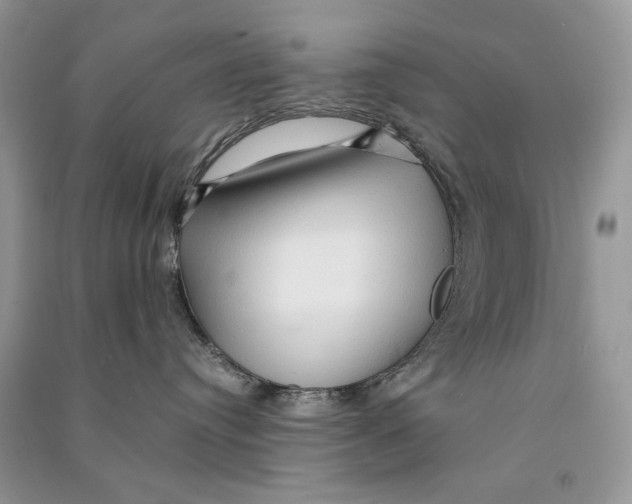 X0000090600384200708141336