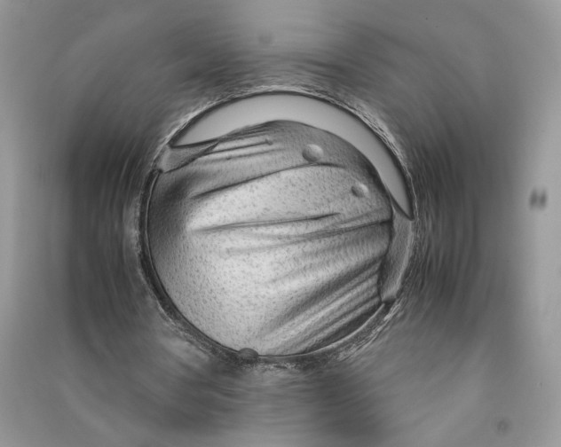 X0000090600386200708141335