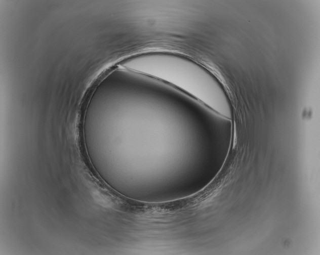 X0000090600387200708141335