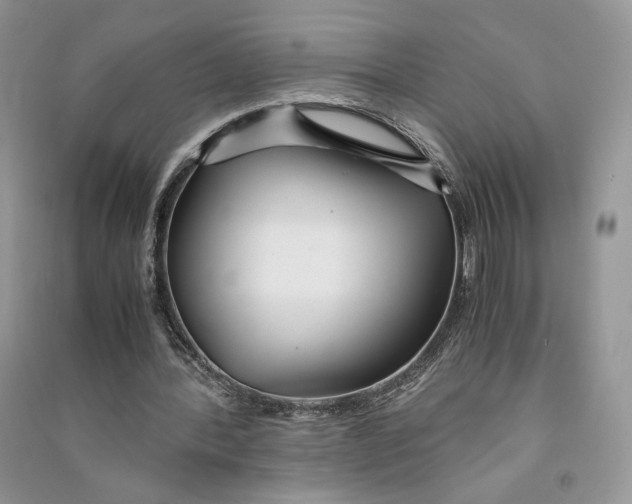 X0000090600388200708141335