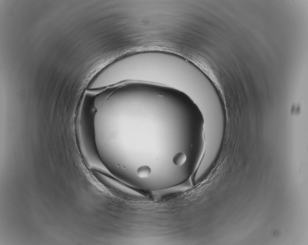 X0000090600389200708141335