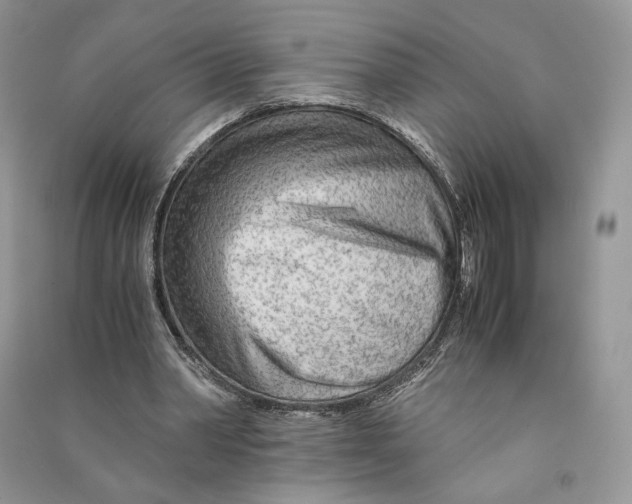 X0000090600390200708141335