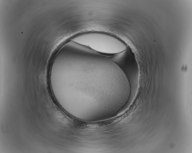 X0000090600391200708141335