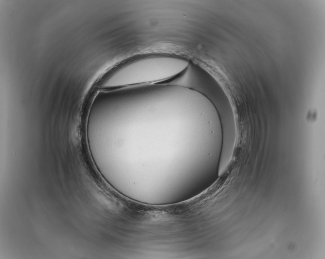 X0000090600392200708141335