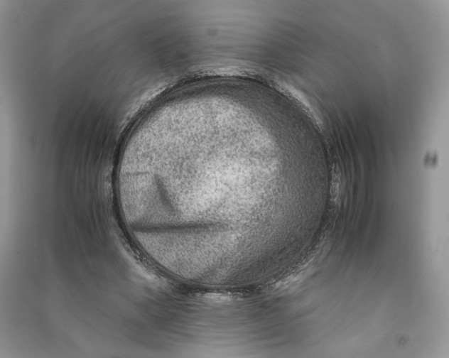 X0000090600394200708141335