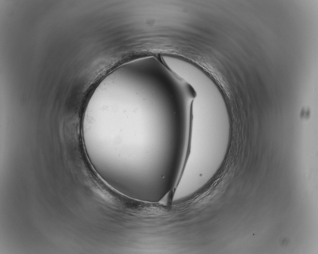 X0000090600397200708141335