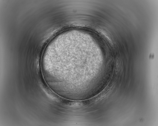 X0000090600398200708141335