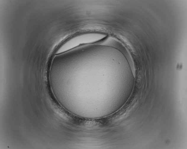 X0000090600399200708141335