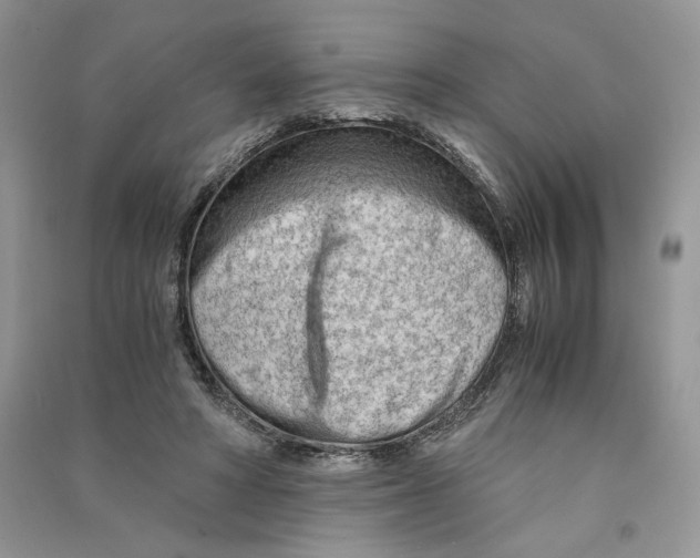 X0000090600402200708141335