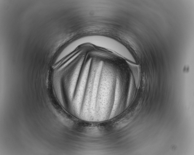 X0000090600404200708141335