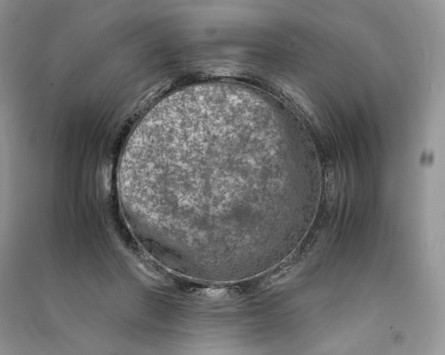 X0000090600406200708141335