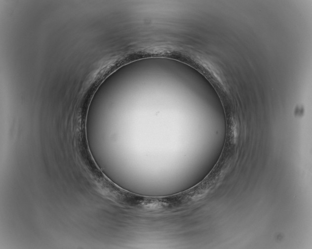 X0000090600407200708141335