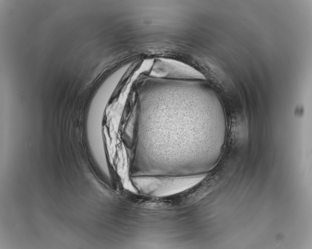 X0000090600408200708141335