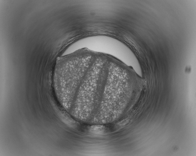 X0000090600410200708141335