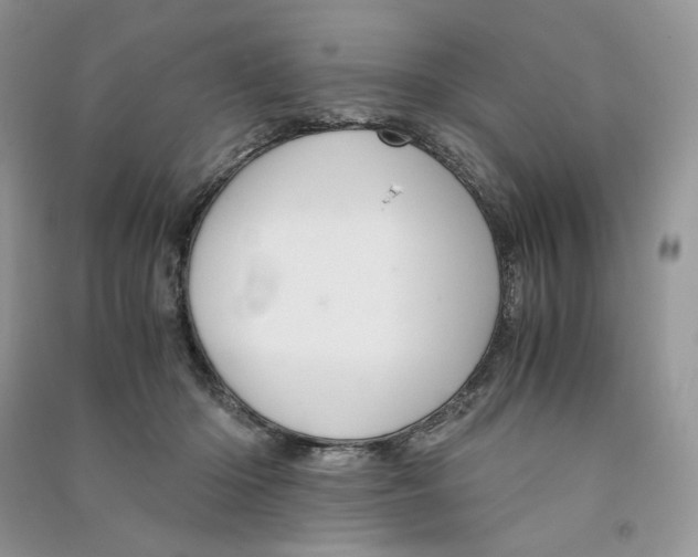 X0000090600414200708141335