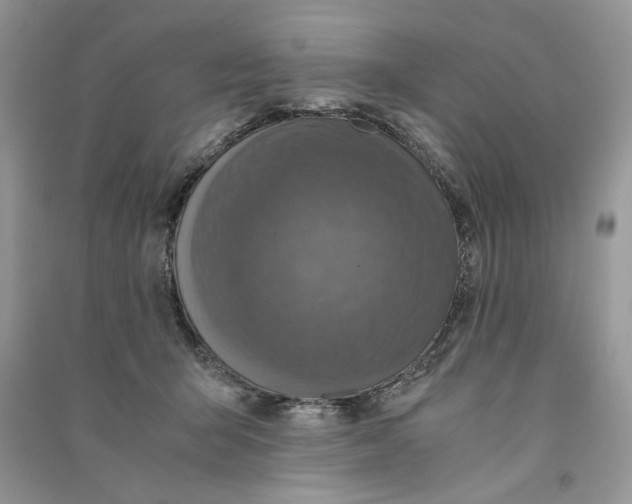 X0000090600415200708141335