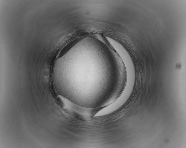 X0000090600416200708141335