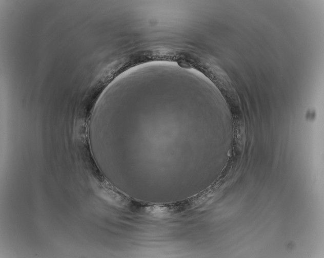 X0000090600419200708141335