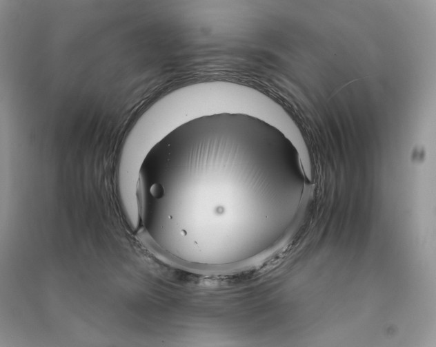 X0000090600420200708141335