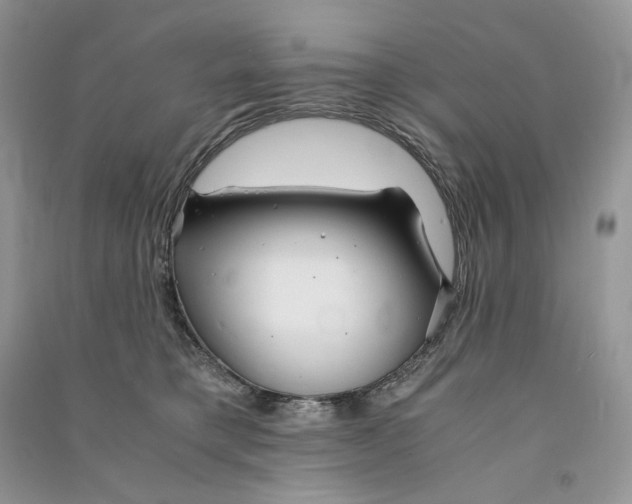 X0000090600421200708141335