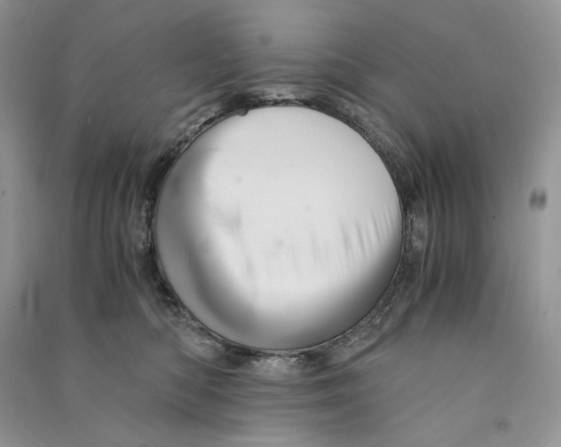 X0000090600422200708141335