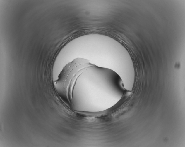 X0000090600425200708141335