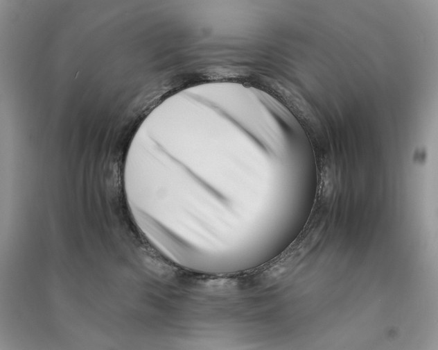 X0000090600426200708141335