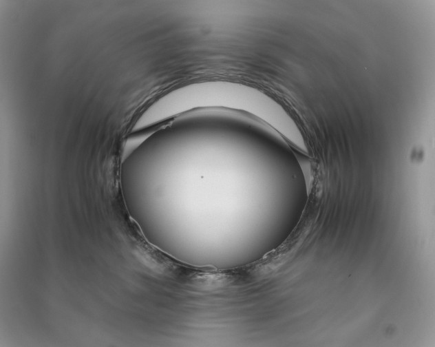 X0000090600428200708141335