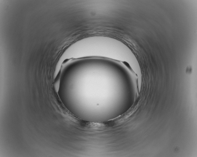 X0000090600429200708141335