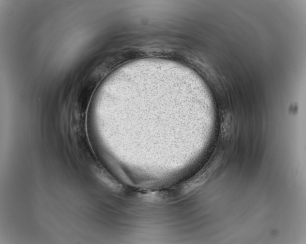 X0000090600430200708141335